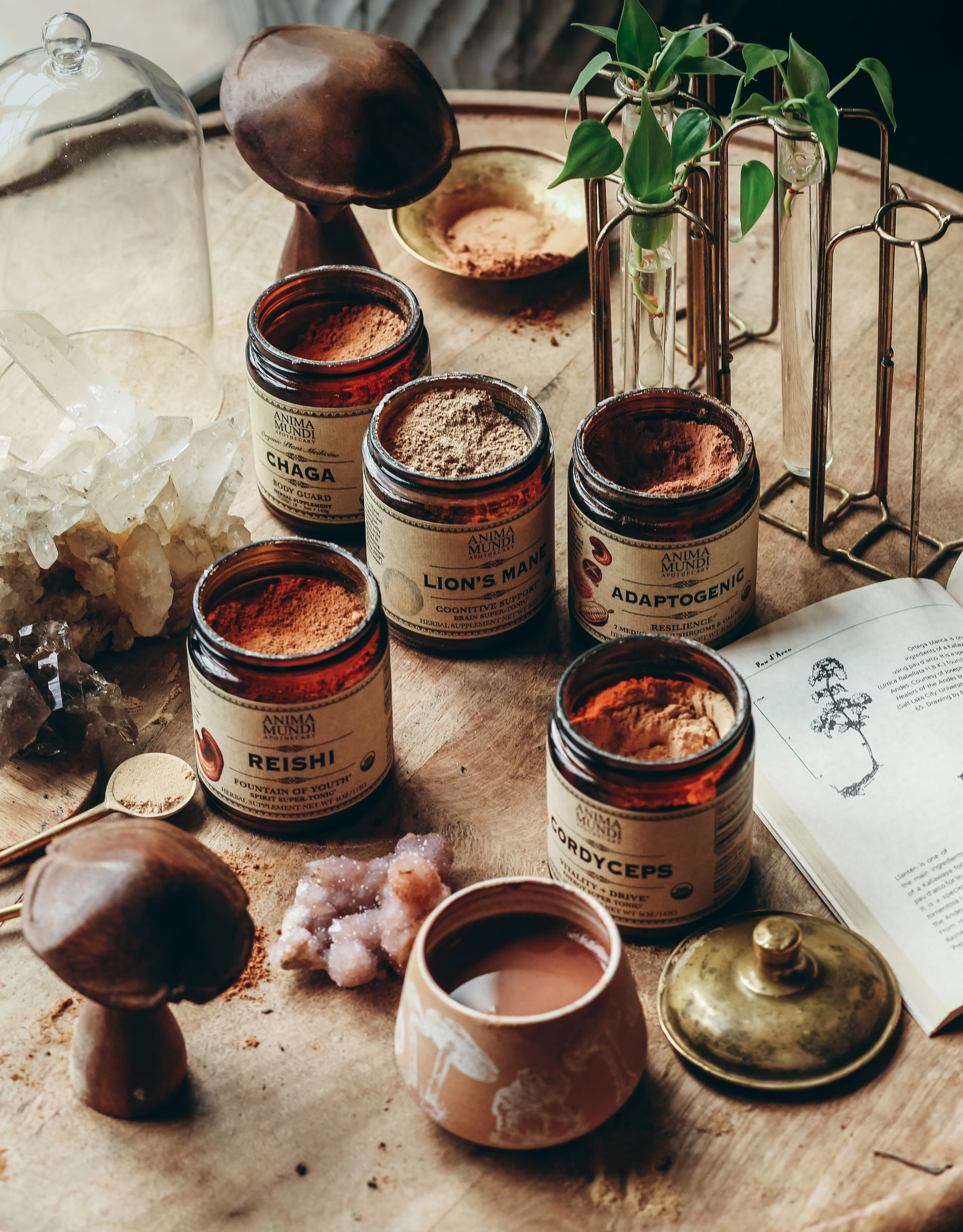 ADAPTOGENIC Powder | Organic, 7 Medicinal Mushrooms + Cacao - Image 10