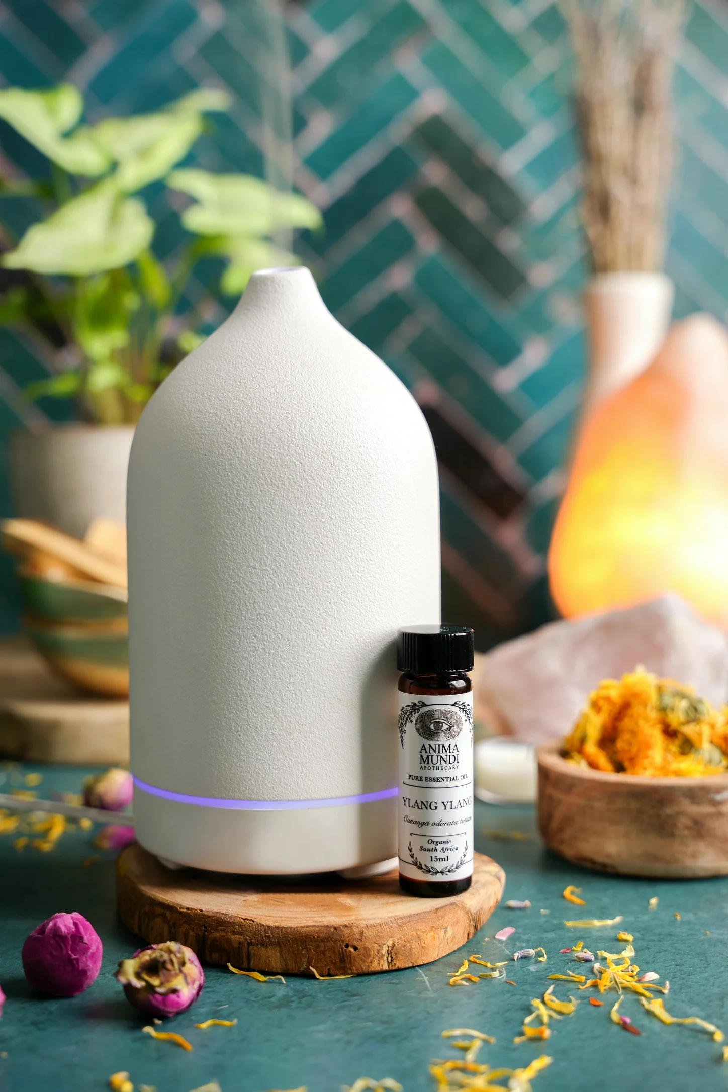 YLANG-YLANG Complete Essential Oil | Organic - Image 3