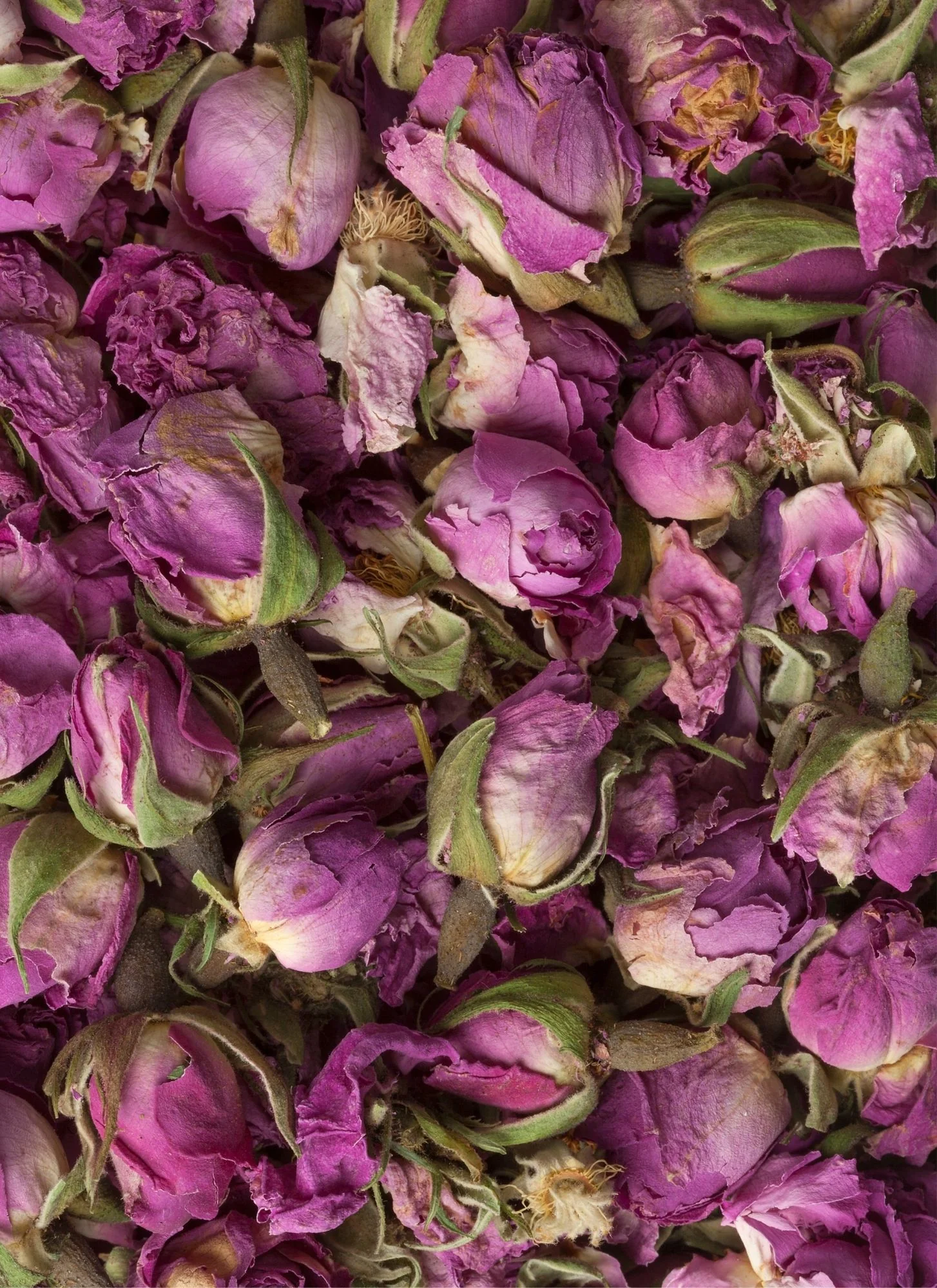 Flower Trio | BUNDLE - Image 7