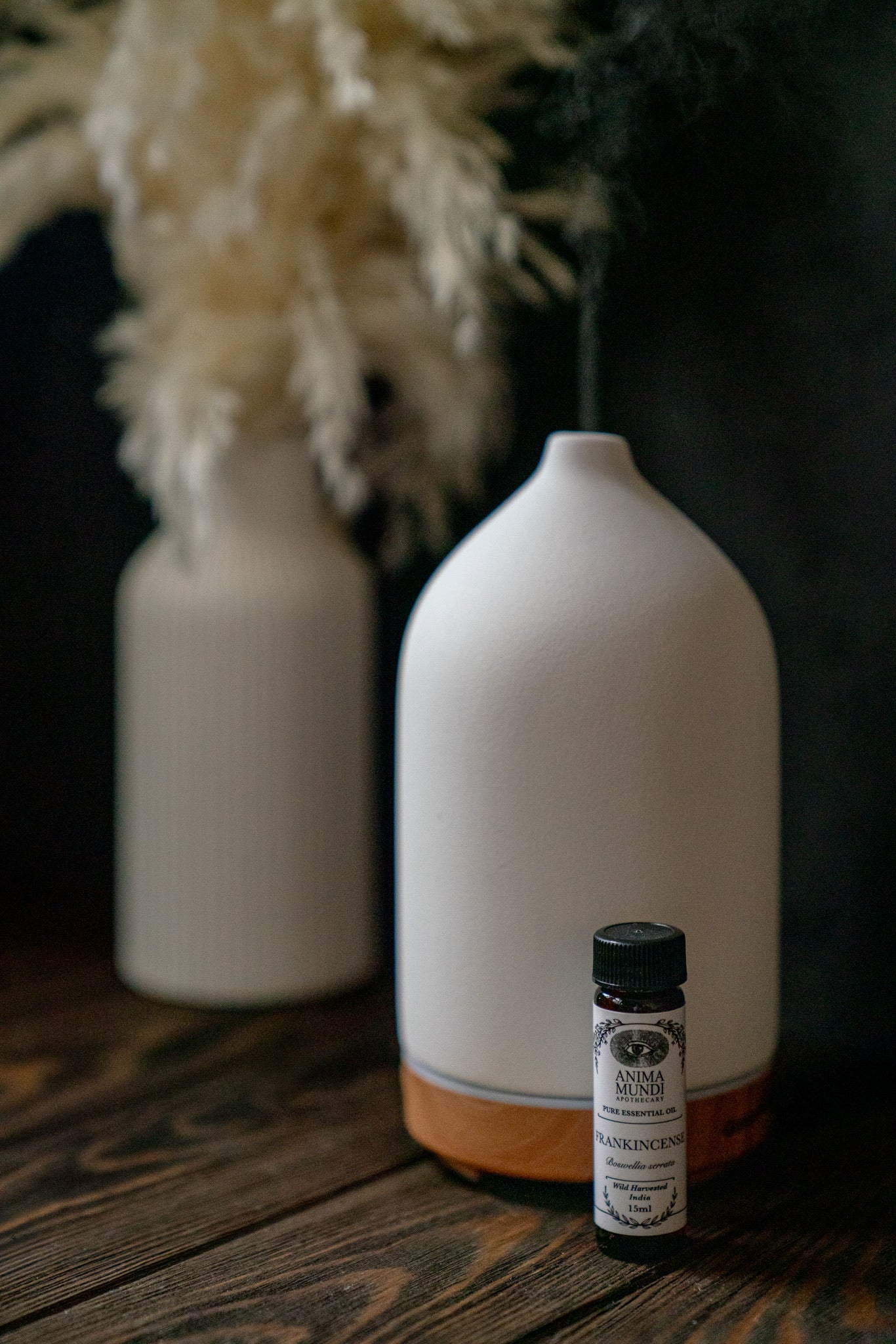 FRANKINCENSE Essential Oil | Wildcrafted - Image 5