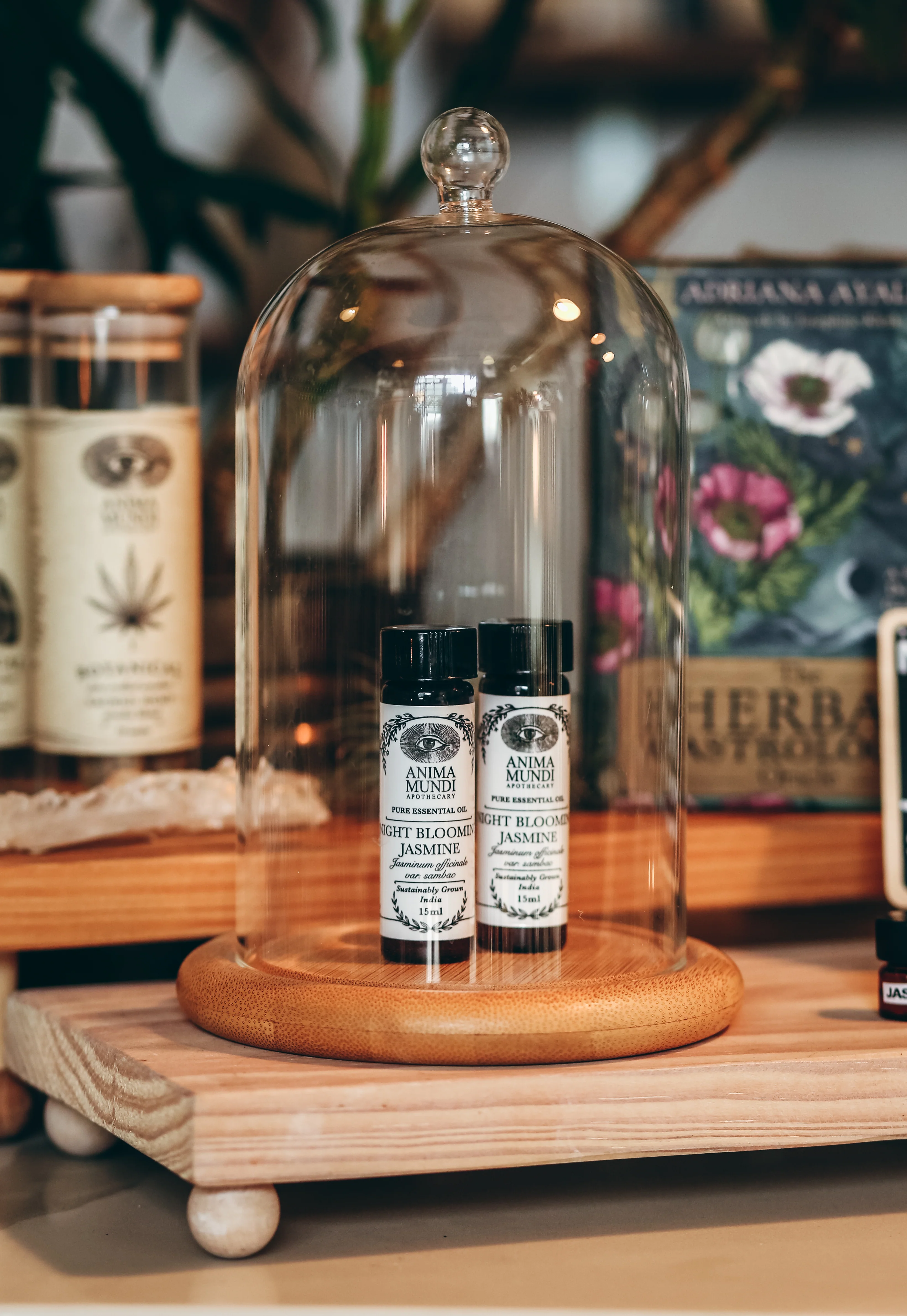NIGHT BLOOMING JASMINE Essential Oil | Sustainably Cultivated - Image 4