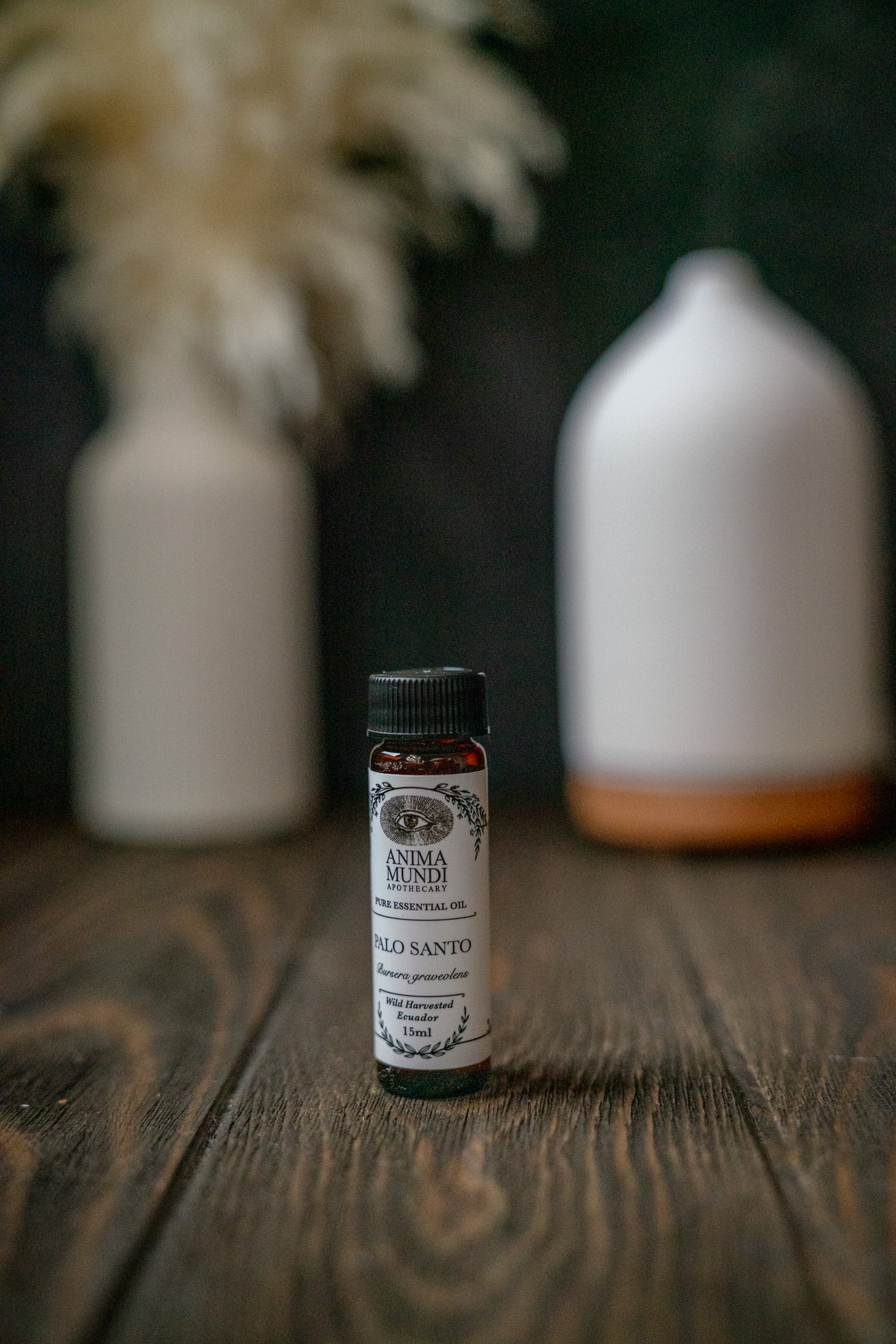 PALO SANTO Essential Oil | Wildharvested - Image 6