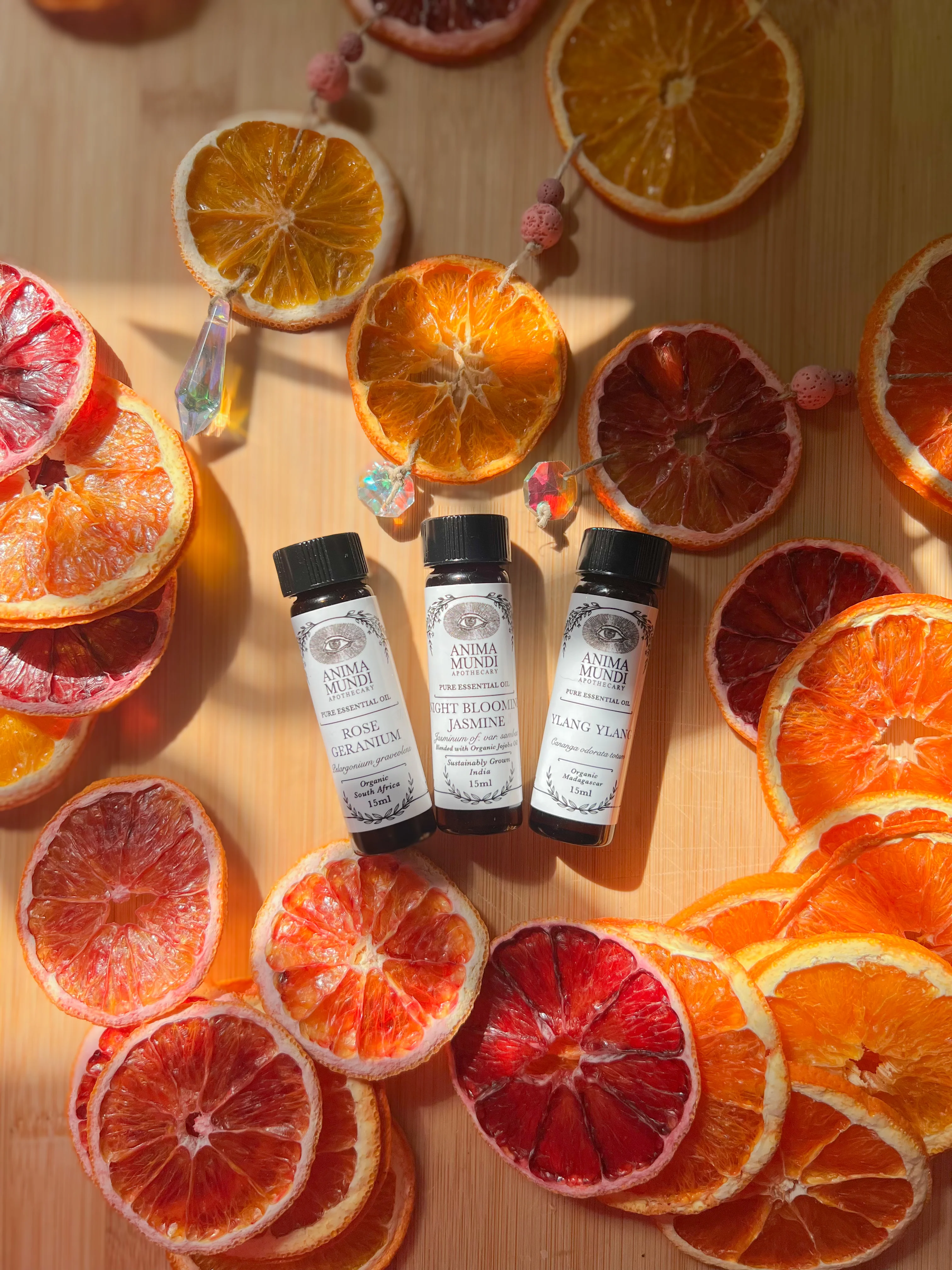 ROSE GERANIUM Essential Oil | Organic - Image 3
