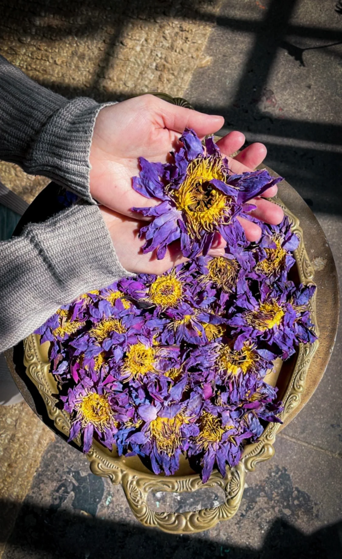 WHOLE BLUE FLOWERS | Blossoms of Intuition* - Image 9